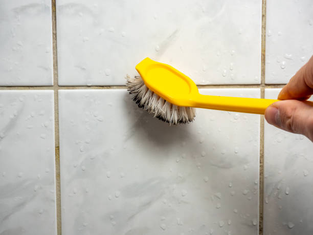 Best Mold Remediation  in Man, WV