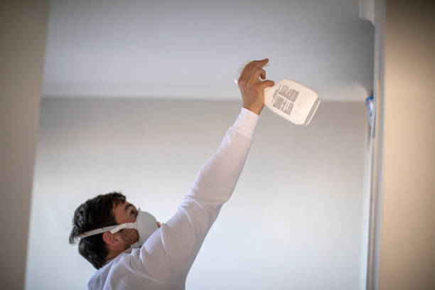Best Emergency Mold Removal  in Man, WV