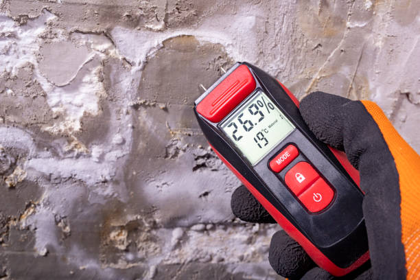 Best Emergency Mold Removal  in Man, WV