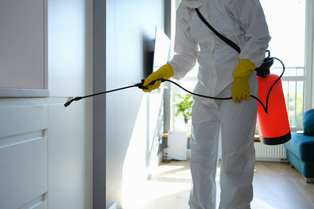 Water Damage Restoration in Man, WV