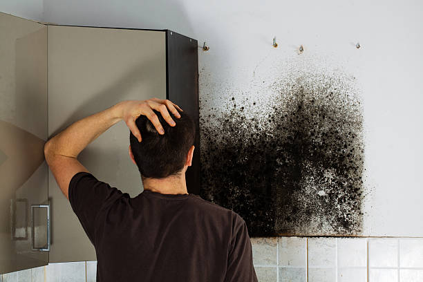 Best Residential Mold Removal  in Man, WV